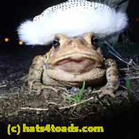 /home//u458753944/public_html/sourcegallery//Roxborough Toad Detour/2013-2019/2019/56610422_10218938350118677_7423092729019629568_o.jpg